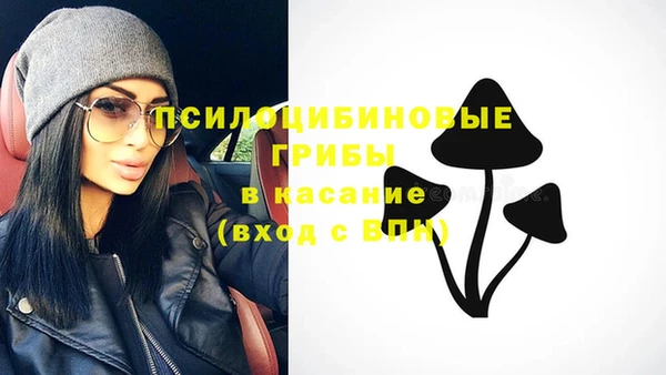 спайс Богданович