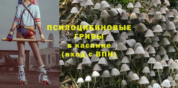 кристаллы Богородицк