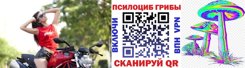 Псилоцибиновые грибы Magic Shrooms  Великий Устюг 