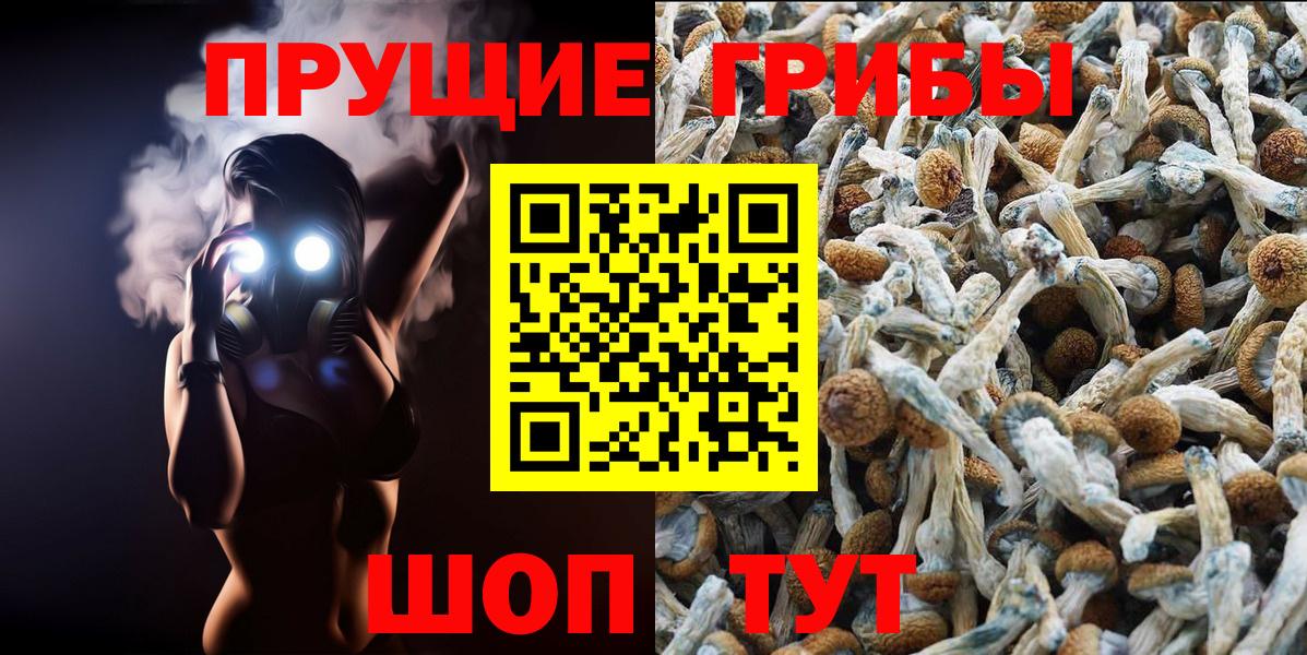 Галлюциногенные грибы мицелий Великий Устюг