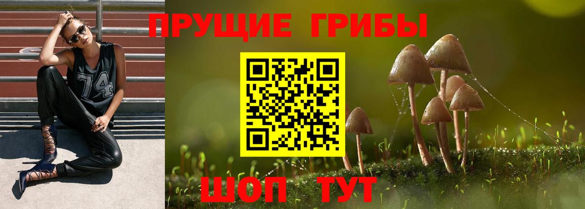 Галлюциногенные грибы GOLDEN TEACHER  цены   Великий Устюг  Вход с VPN  Псилоцибиновые грибы Cubensis 